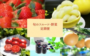Assortment of local seasonal fruits and vegetables