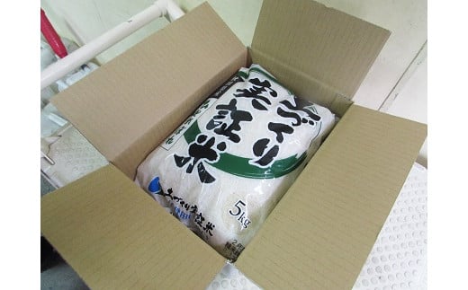 Gạo thơm ngon và mới nhất khi đóng thuế tại địa phương Furusato Nozei Gạo thơm ngon và mới nhất khi đóng thuế tại địa phương