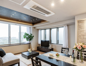 Odaiba apartment