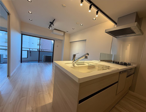 Shibuya 2 bedroom apartment