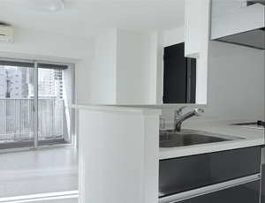 Azabujuban 2 bedroom apartment